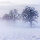 Winter auf der Schwäbischen Alb