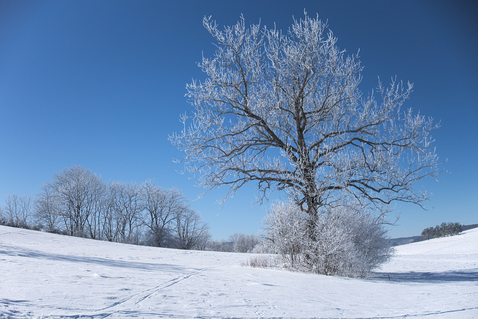 Winter auf der Schwäbischen Alb