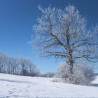 Winter auf der Schwäbischen Alb