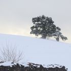 Winter auf der Schwäbischen Alb