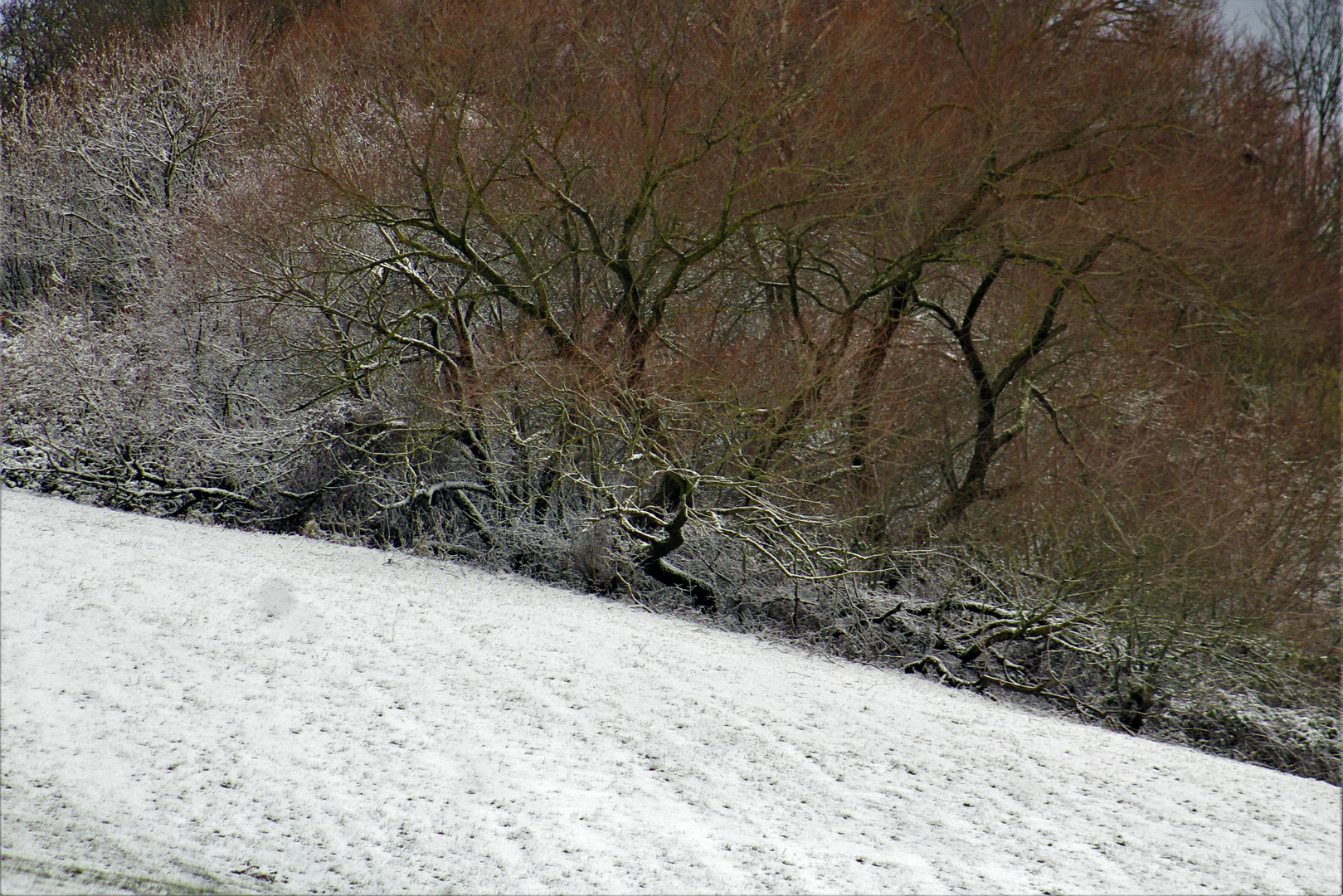 Winter auf der schwäbischen Alb