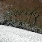 Winter auf der schwäbischen Alb