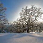 Winter auf der schwäbischen Alb