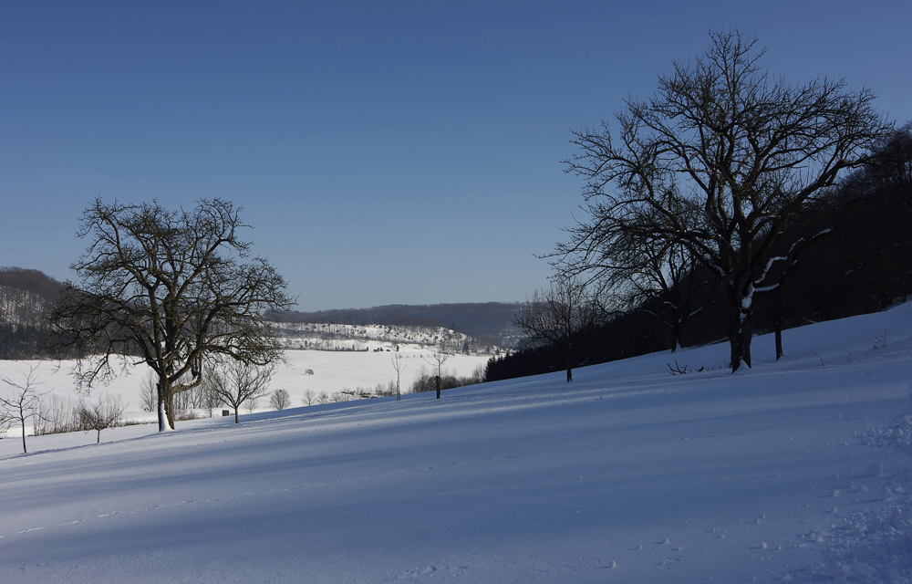 Winter auf der Schwäbischen Alb 6