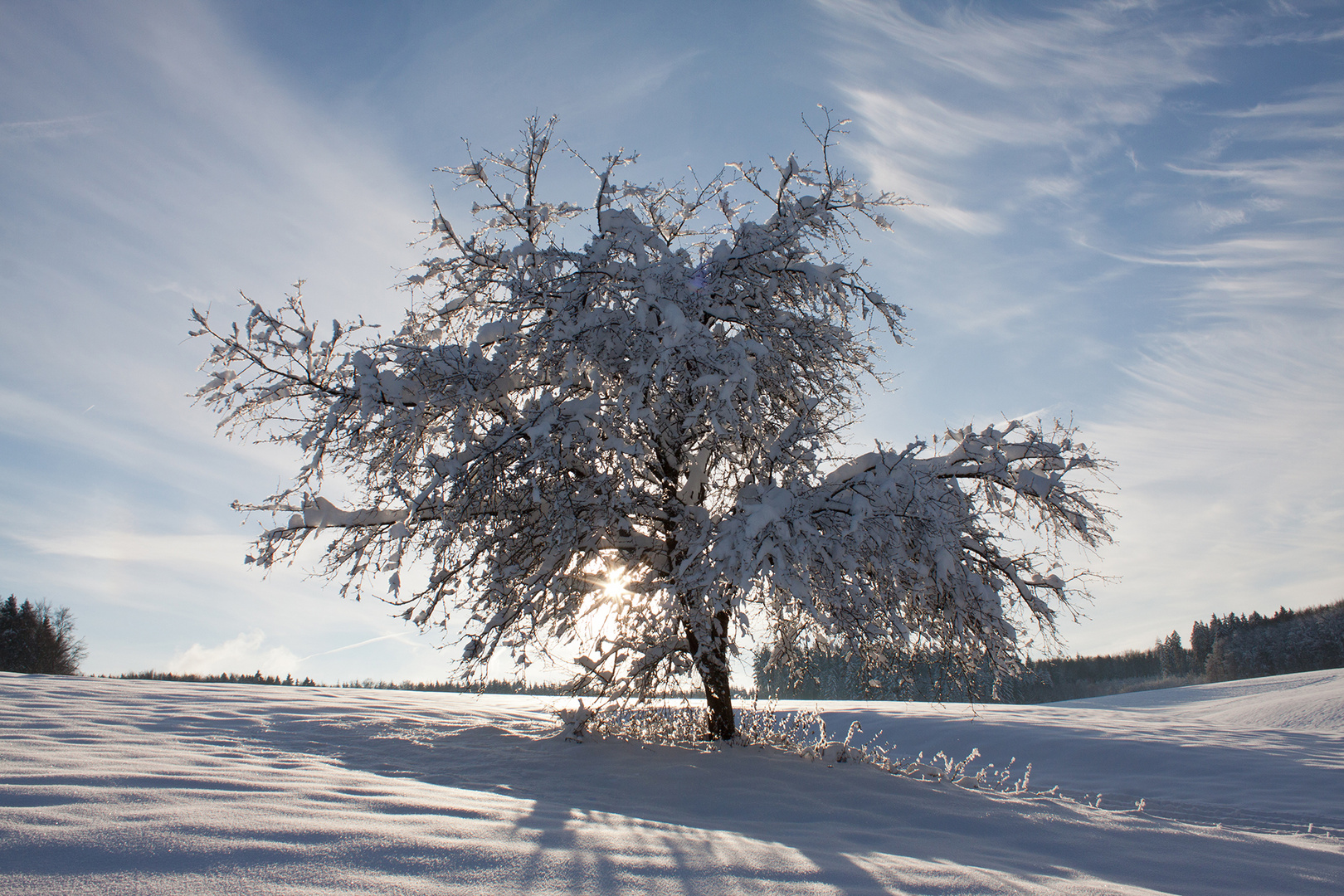 * Winter auf der Schwäbischen Alb *