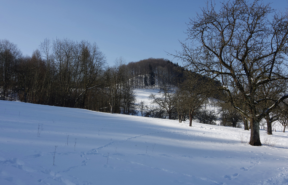 Winter auf der Schwäbischen Alb 7