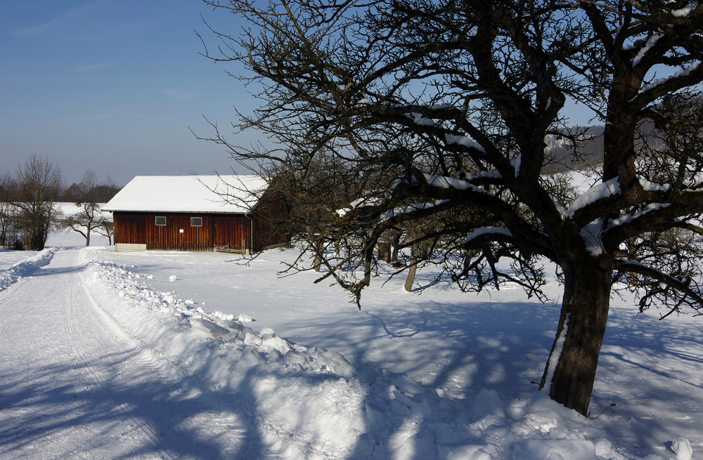 Winter auf der Schwäbischen Alb 8