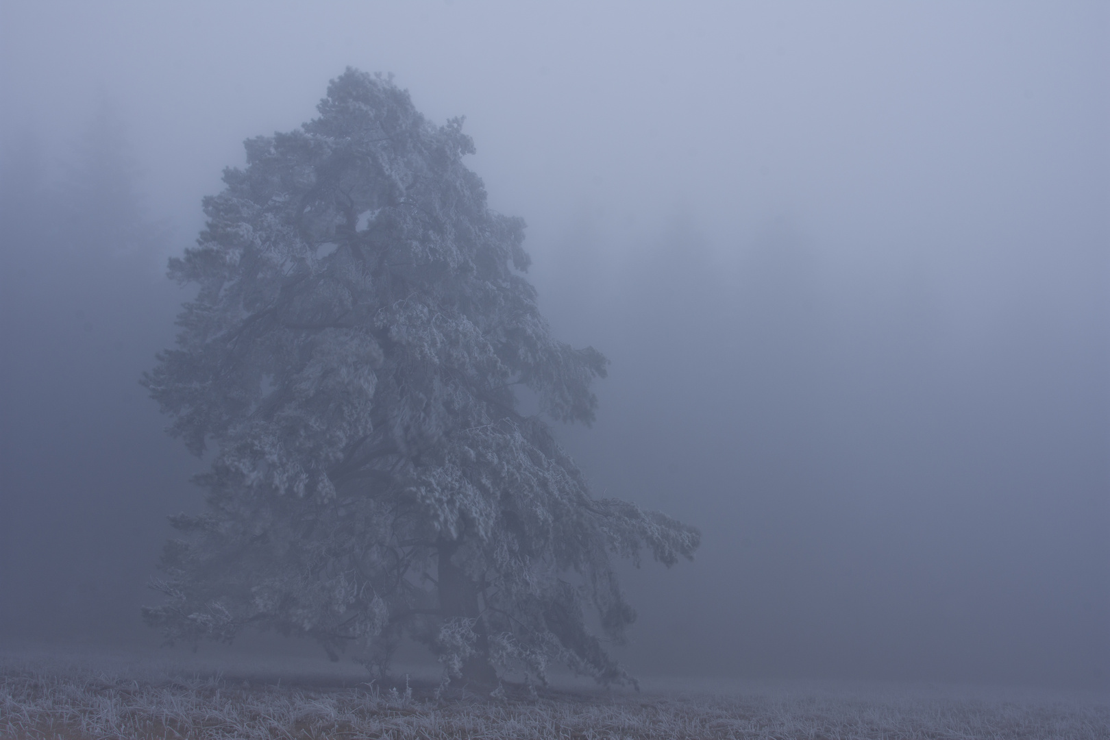 Winter auf der schwäbischen Alb