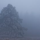 Winter auf der schwäbischen Alb