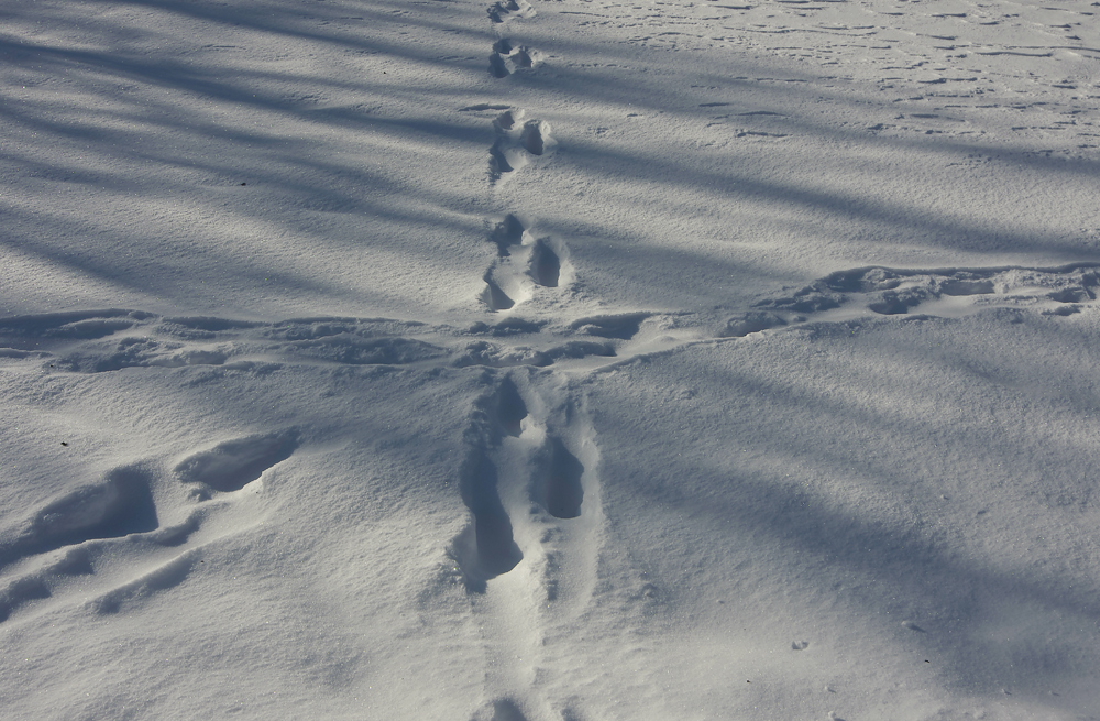 Winter auf der Schwäbischen Alb 9