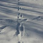 Winter auf der Schwäbischen Alb 9