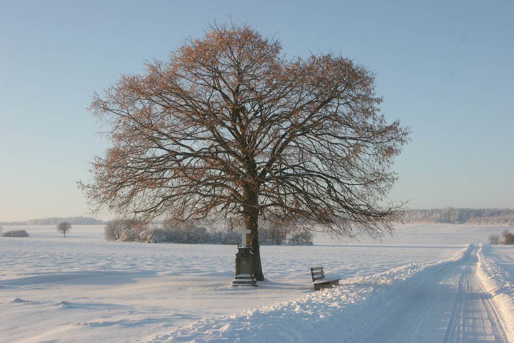 Winter auf der Schwäbischen Alb