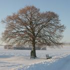 Winter auf der Schwäbischen Alb