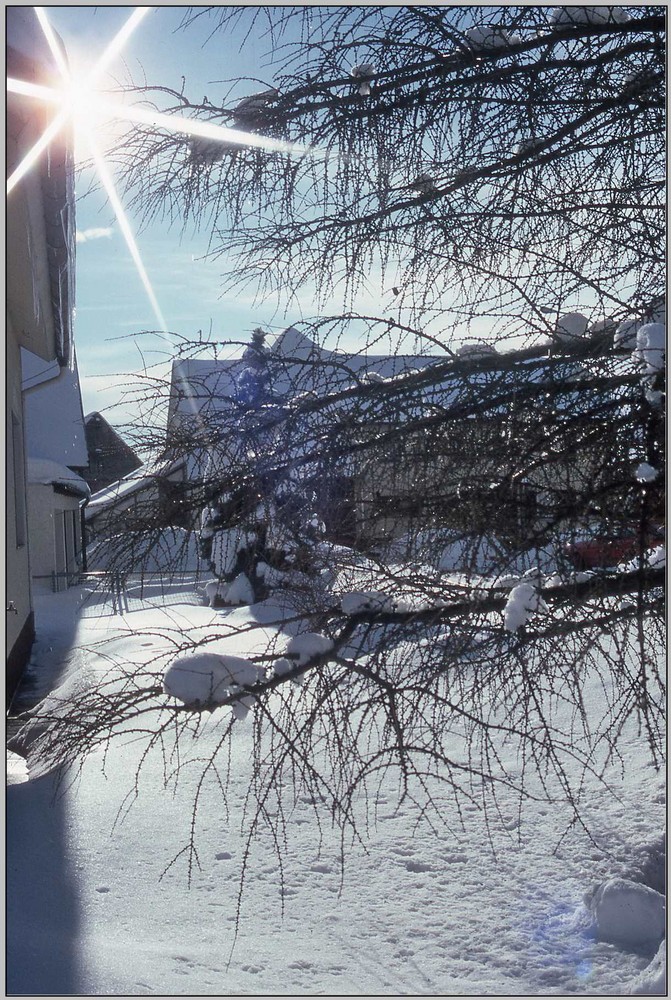 Winter auf der Schwäbischen Alb