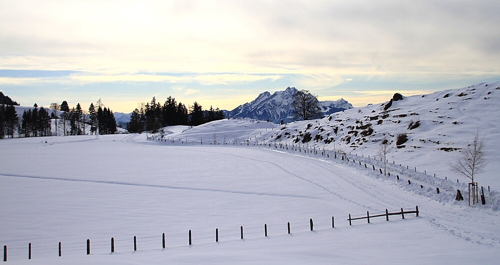 Winter auf der Seebodenalp