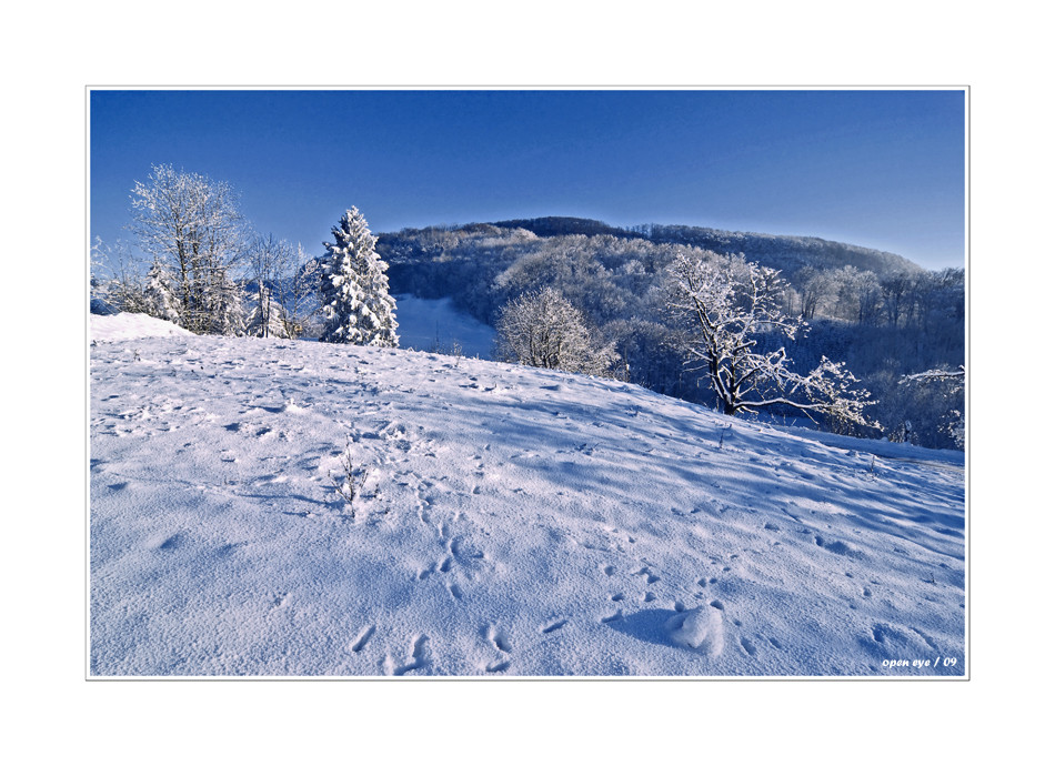 Winter auf der Staffelegg - Kt. AG - CH