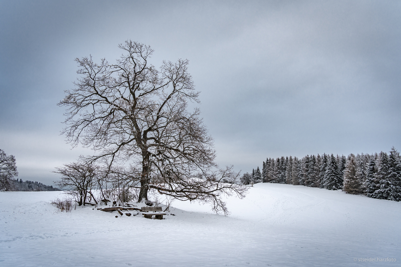 Winter auf der Steinberg Alm