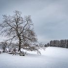 Winter auf der Steinberg Alm