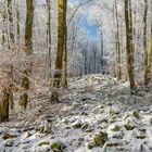 *Winter auf der Steineberger Ley*