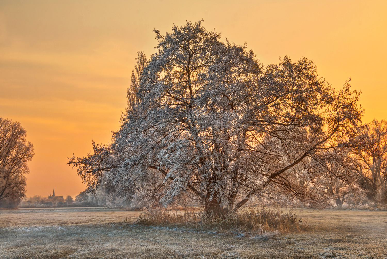 Winter auf der Storchenwiese