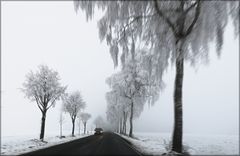 Winter auf der Straße