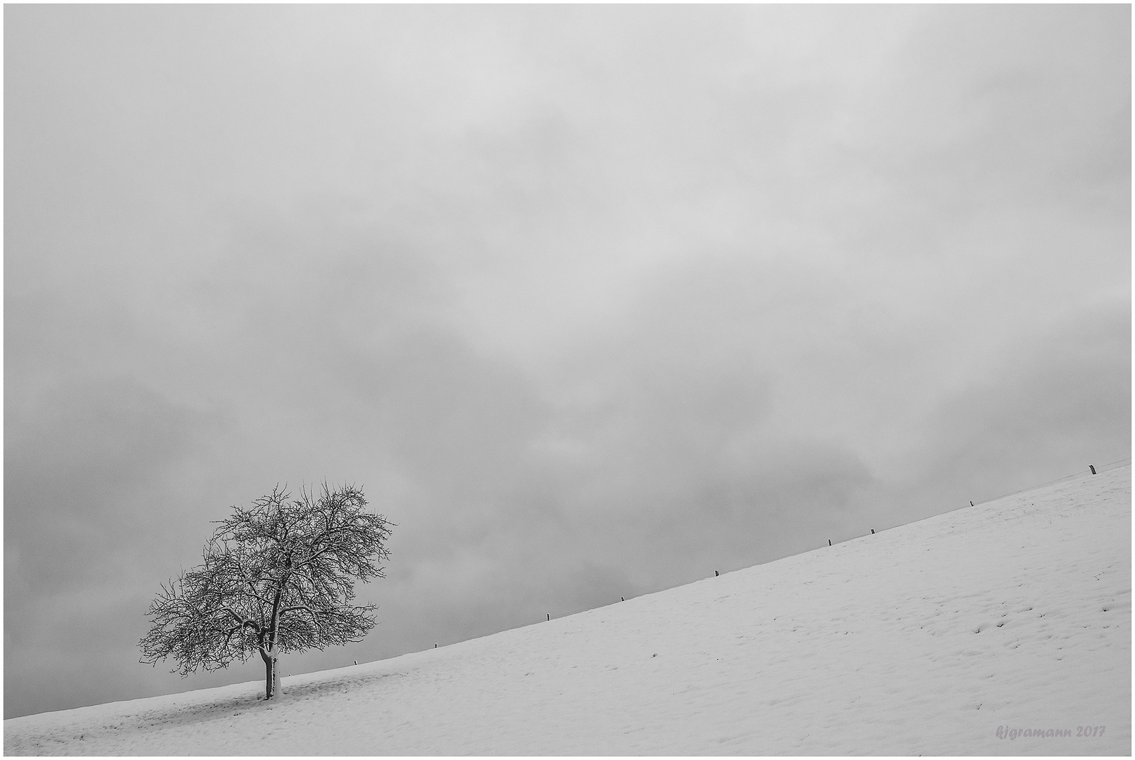 winter auf der streuobstwiese.....