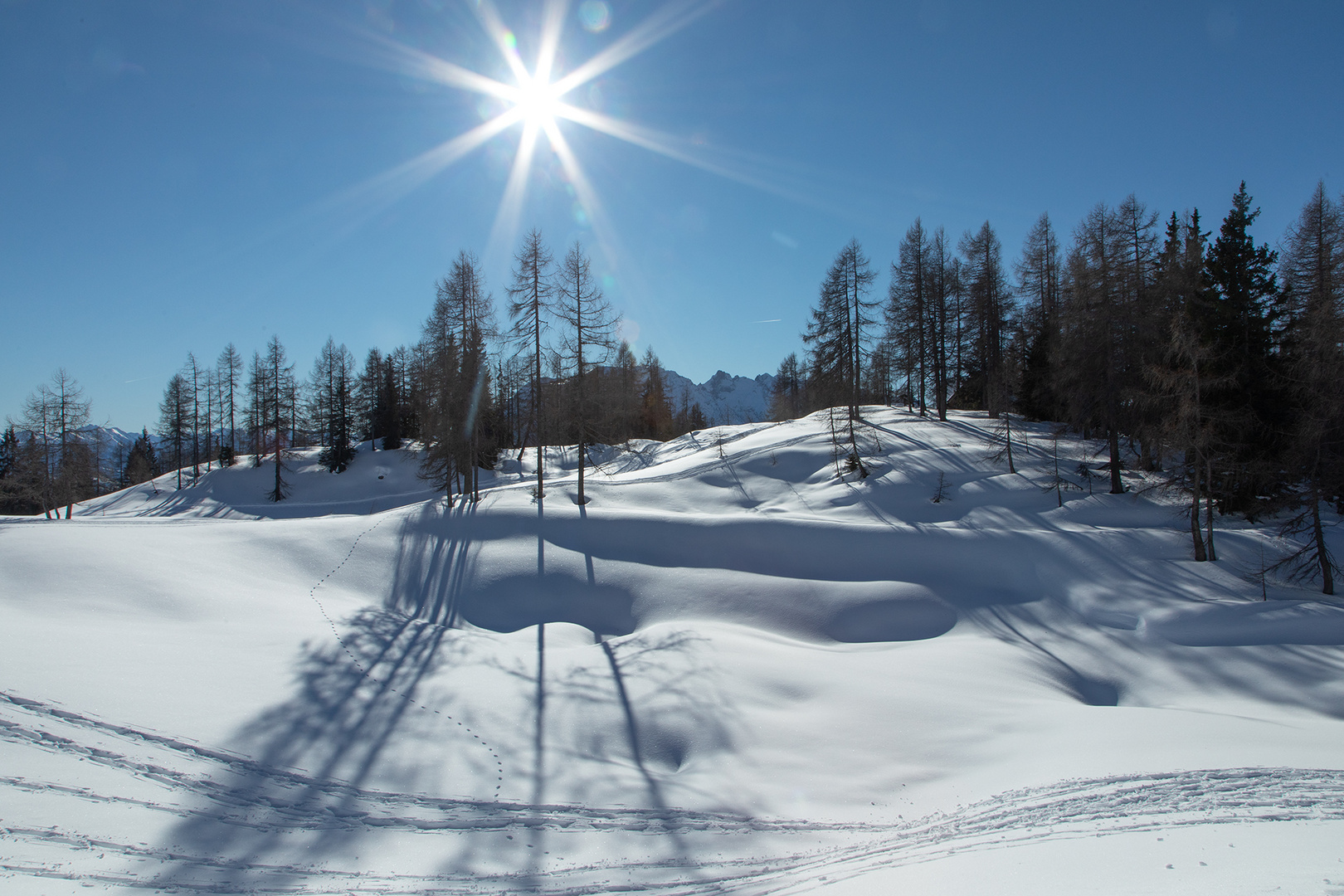 Winter auf der Tauplitz 2