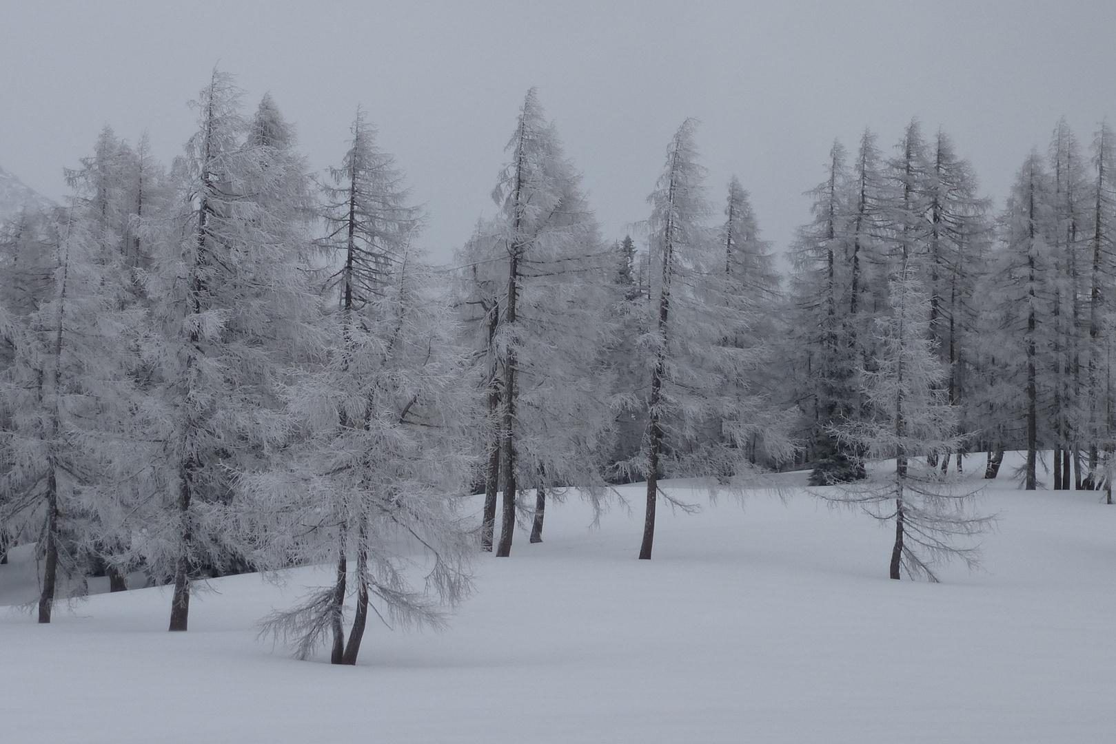 Winter auf der Tauplitz