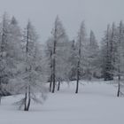 Winter auf der Tauplitz