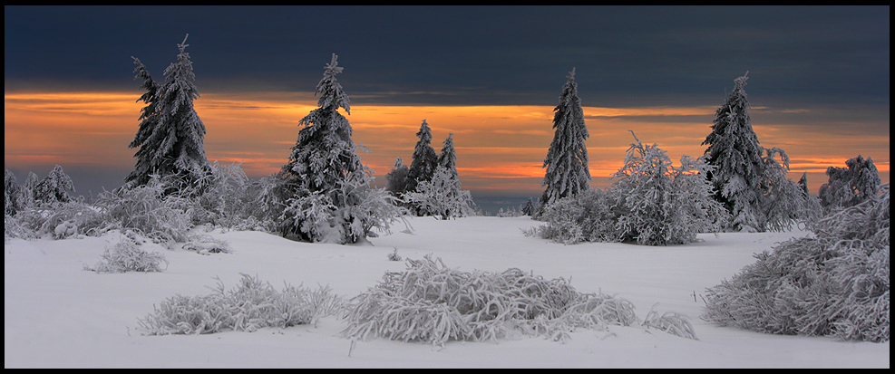 ~ Winter auf der Vennhochebene ~