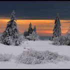 ~ Winter auf der Vennhochebene ~