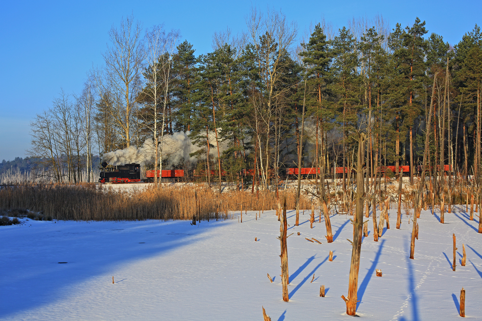 Winter auf der Waldbahn 1