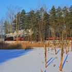 Winter auf der Waldbahn 1