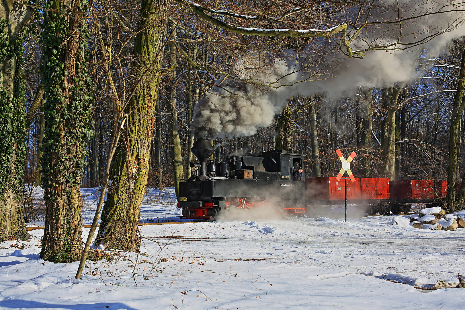 Winter auf der Waldbahn 11