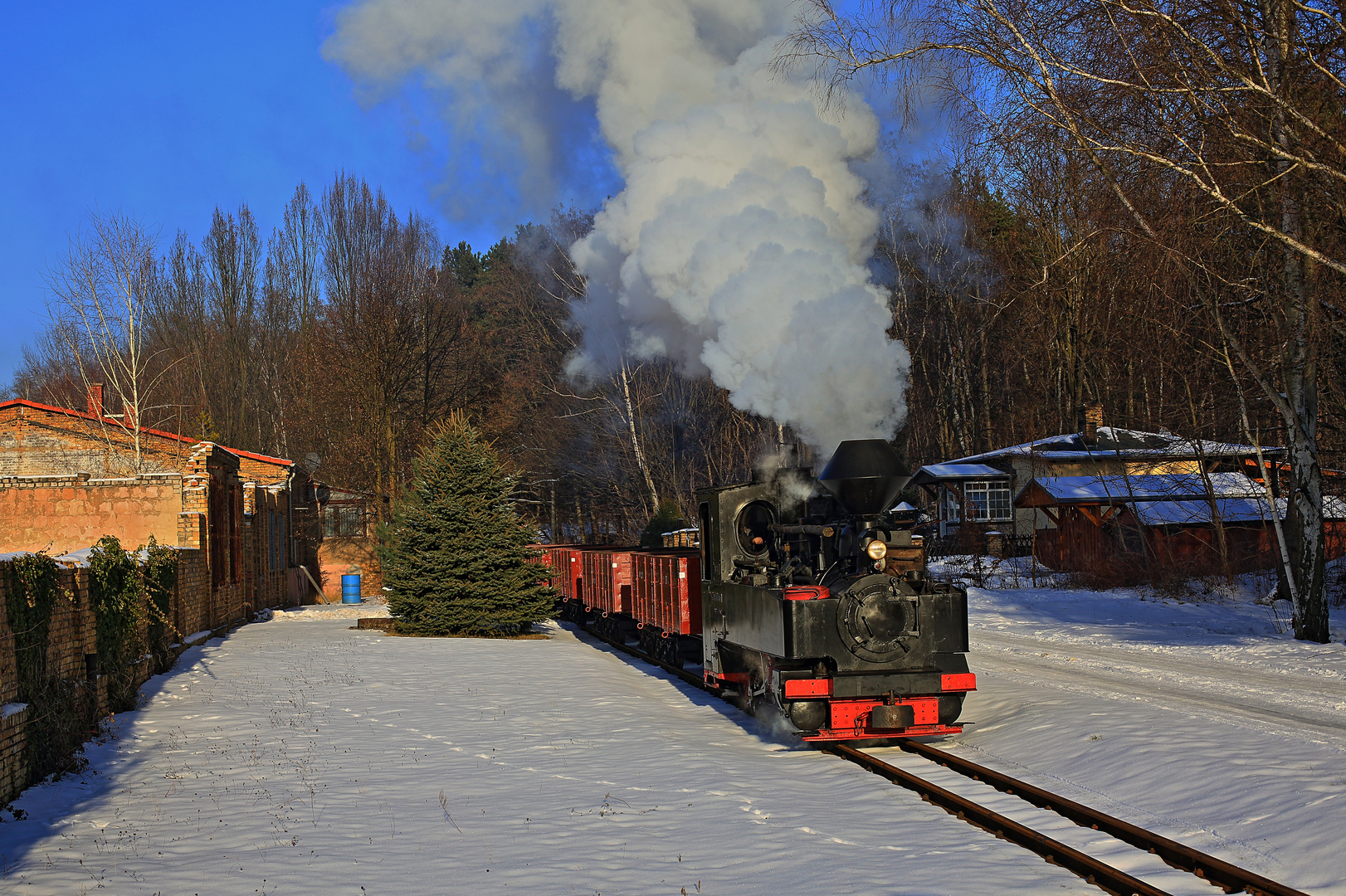 Winter auf der Waldbahn 14