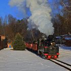 Winter auf der Waldbahn 14