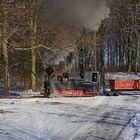 Winter auf der Waldbahn 5