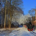 Winter auf der Waldbahn 9