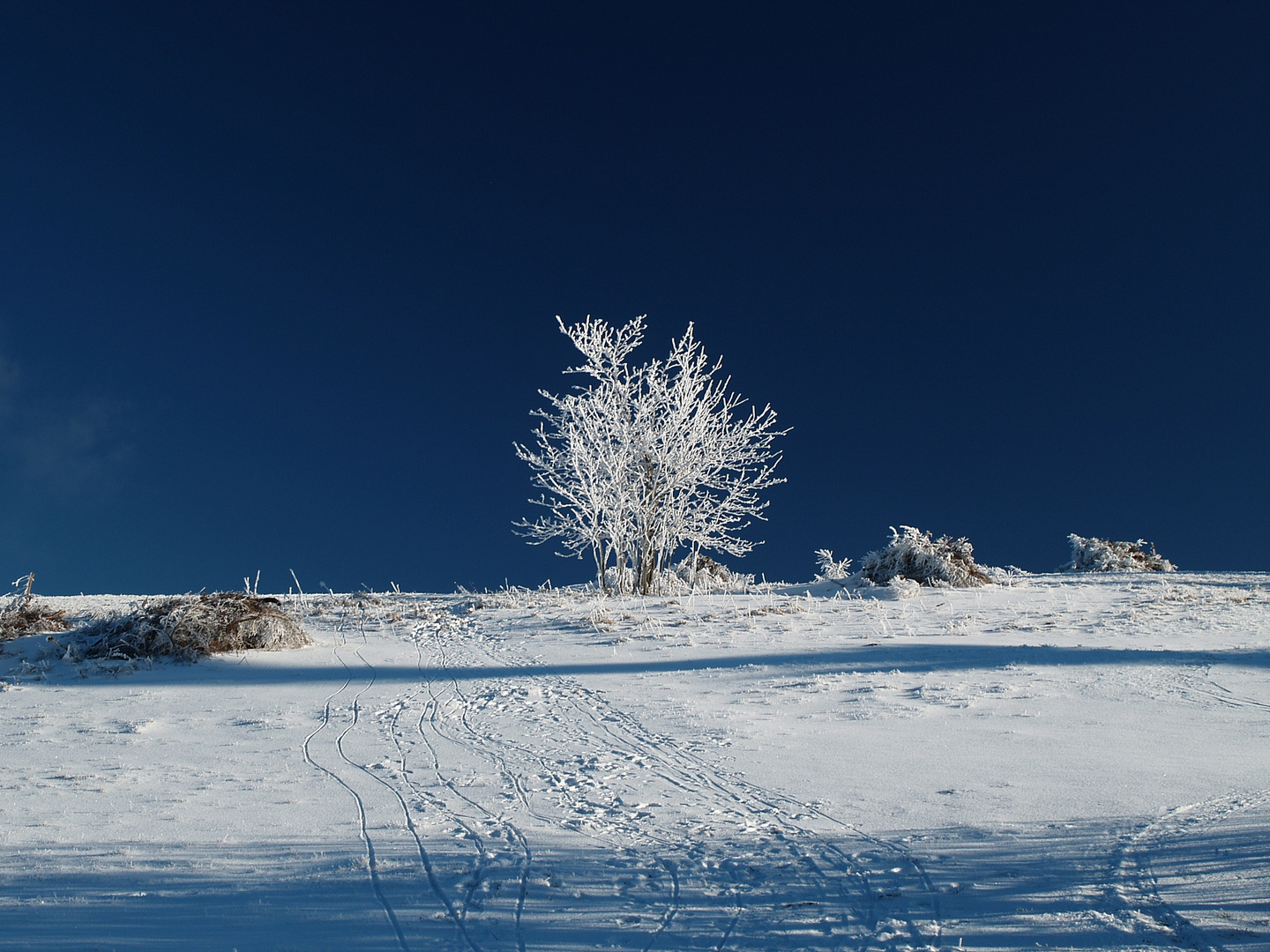 Winter auf der Wasserkuppe