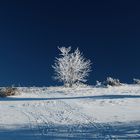 Winter auf der Wasserkuppe