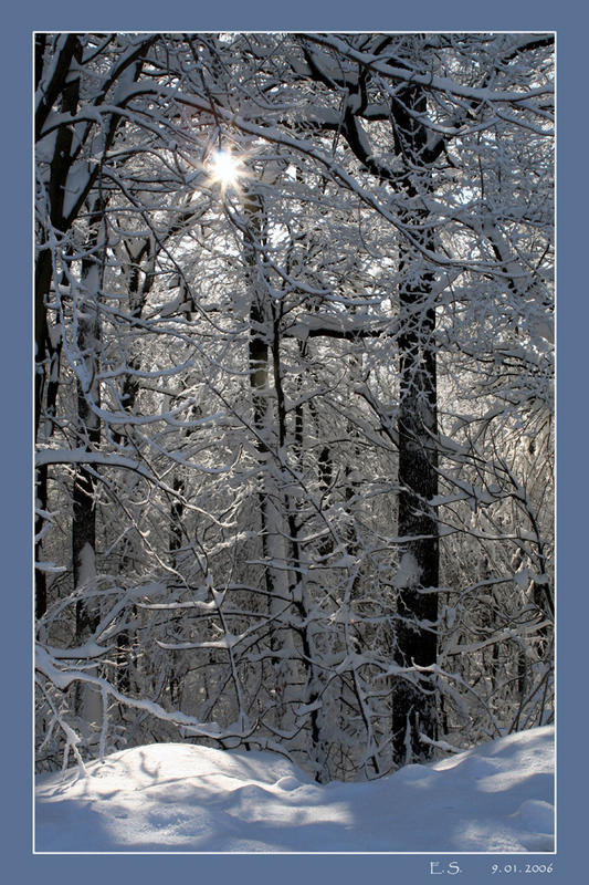 Winter auf der Wiener Höhenstraße 1