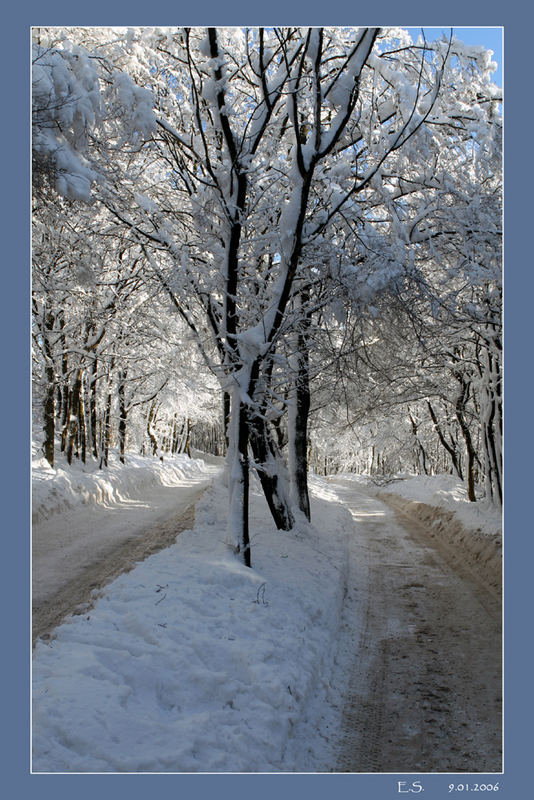 Winter auf der Wiener Höhenstraße 2