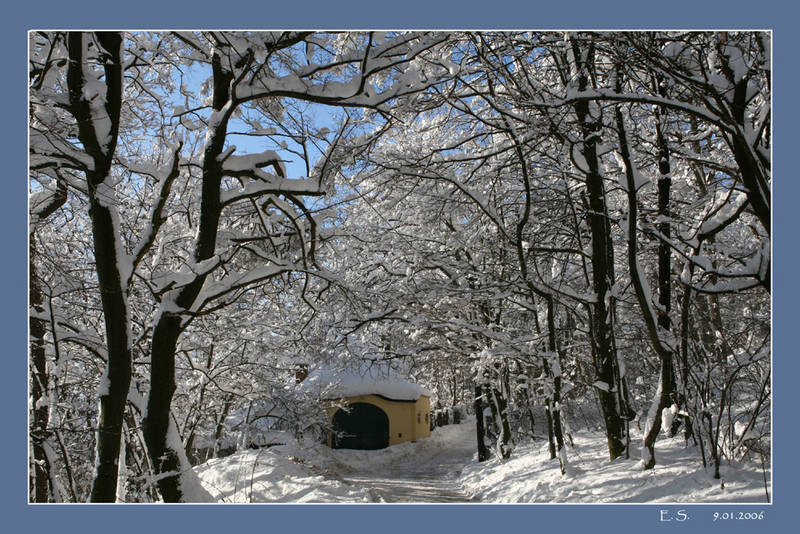 Winter auf der Wiener Höhenstraße 3