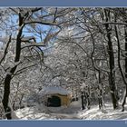 Winter auf der Wiener Höhenstraße 3