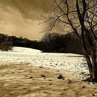 Winter auf der Wiese