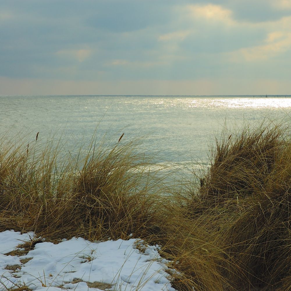 Winter auf Fehmarn von Horst-Dieter Petrusch 