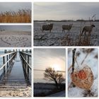 Winter auf Föhr