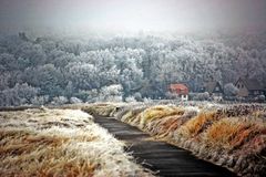 Winter auf Hiddensee