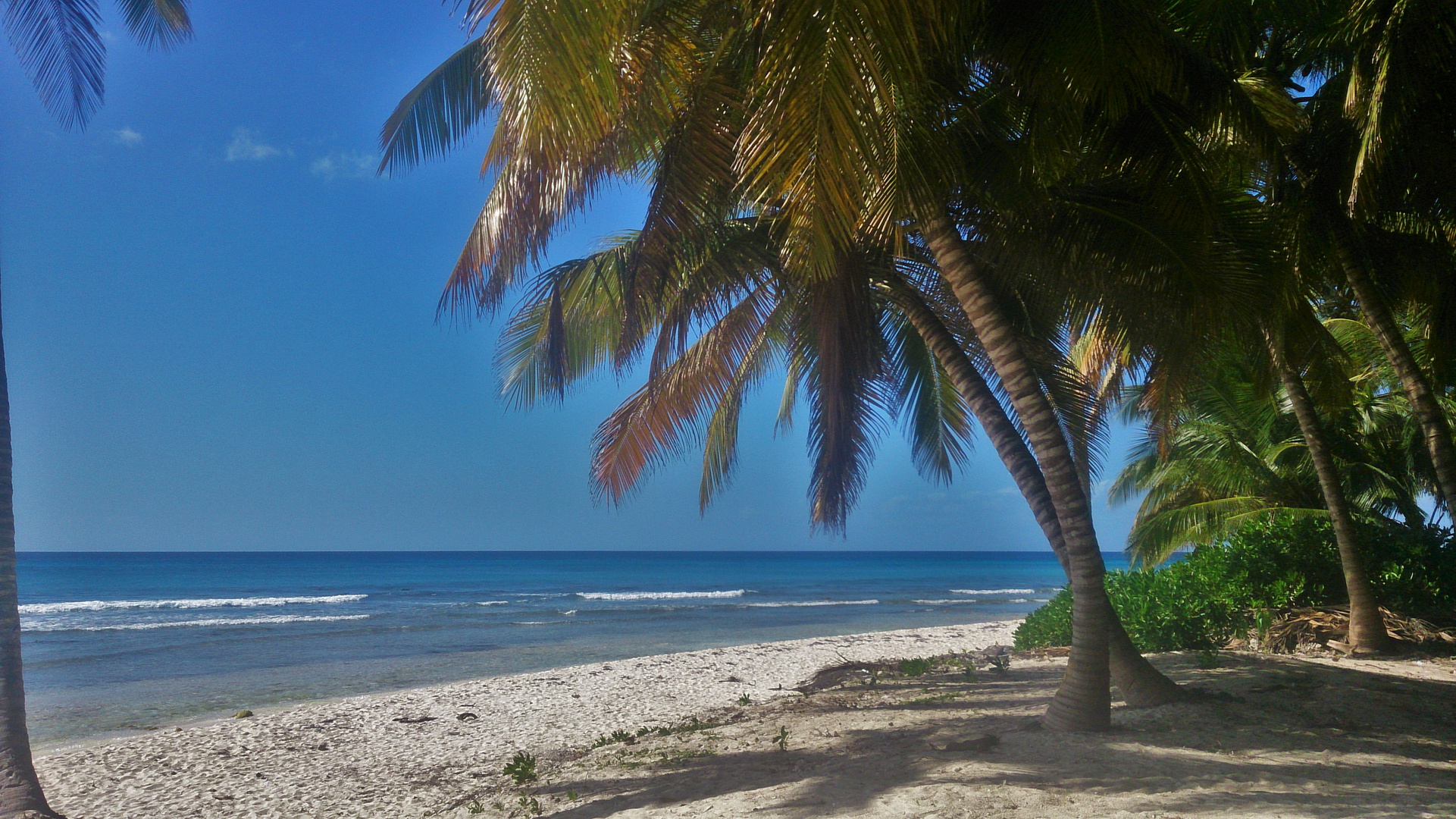 Winter auf Isla Saona 