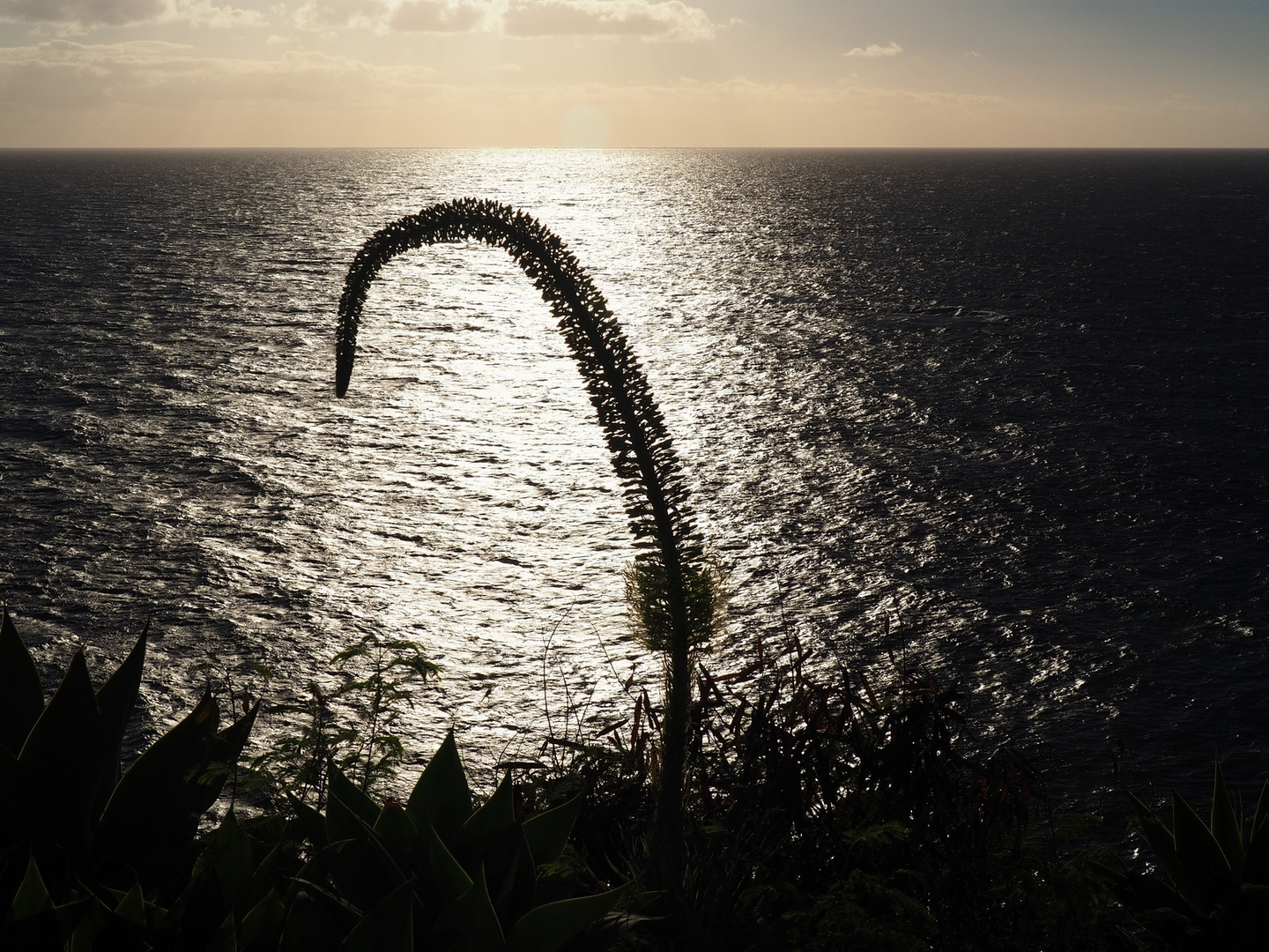 Winter auf Madeira